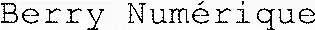 Berry Numérique