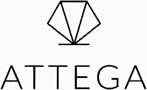 ATTEGA