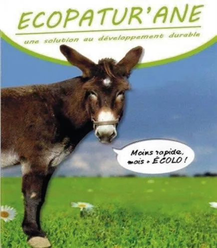 ECOPATUR ANE UNE SOLUTION AU DEVELOPPEMENT DURABLE MOINS RAPIDE, MAIS + ECOLO !