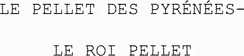 LE PELLET DES PYRÉNÉES- LE ROI PELLET