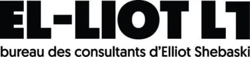 EL-LIOT L1 BUREAU DES CONSULTANTS D ELLIOT SHEBASKI