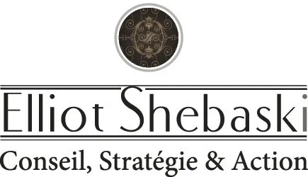 ELLIOT SHEBASKI CONSEIL, STRATEGIE & ACTION