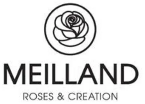 MEILLAND ROSES & CREATION