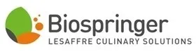 Biospringer lesaffre culinary solutions
