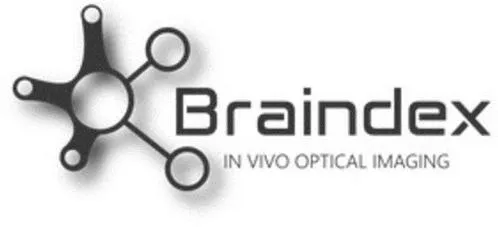 Braindex in vivo optical imaging