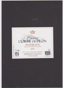 CHÂTEAU L'ORME DE PILON