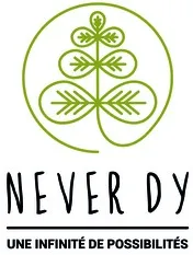NEVER DY UNE INFINITE DE POSSIBLILTES