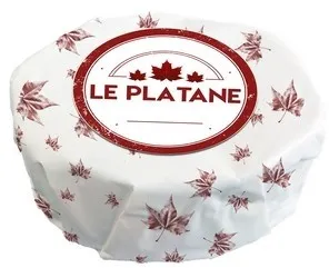 LE PLATANE