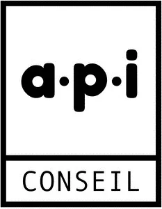 a.p.i CONSEIL