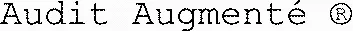 Audit Augmenté ®