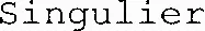Singulier