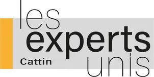 les experts Unis Cattin