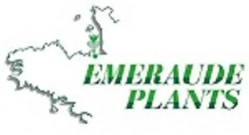 EMERAUDE PLANTS