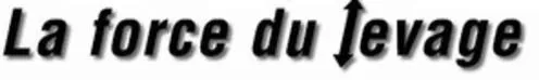 La force du levage