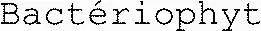 Bactériophyt