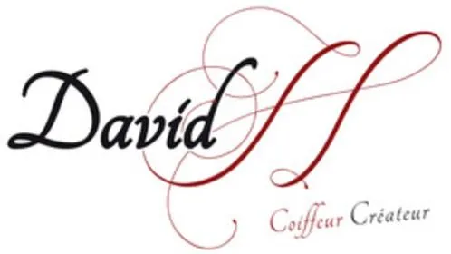 David H Coiffeur Créateur
