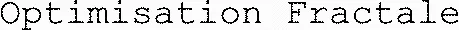 Optimisation Fractale