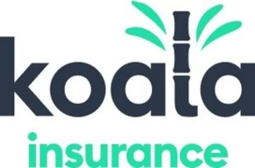 Koala insurance