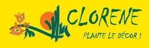 CLORENE PLANTE LE DECOR!