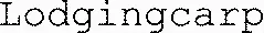 Lodgingcarp
