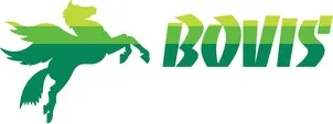 BOVIS'