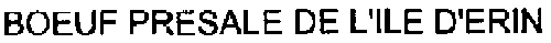 BOEUF PRESALE DE L'ILE D'ERIN