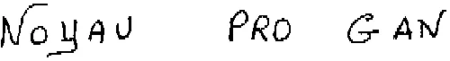 NOYAU PRO-GAV