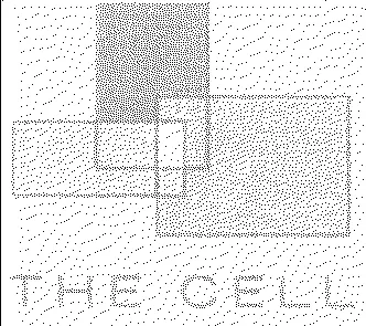 THE CELL