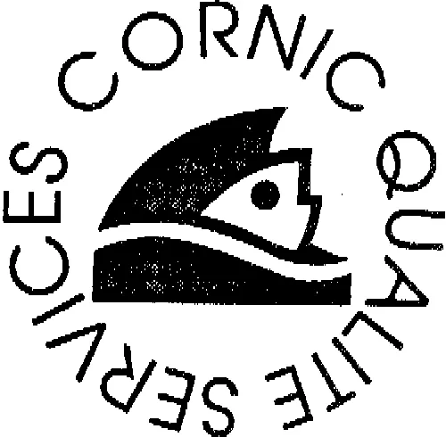 CORNIC QUALITE SERVICES