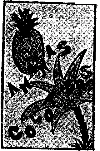 ANANAS COCOTIERS
