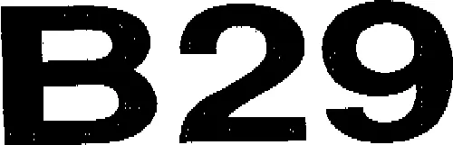 B29