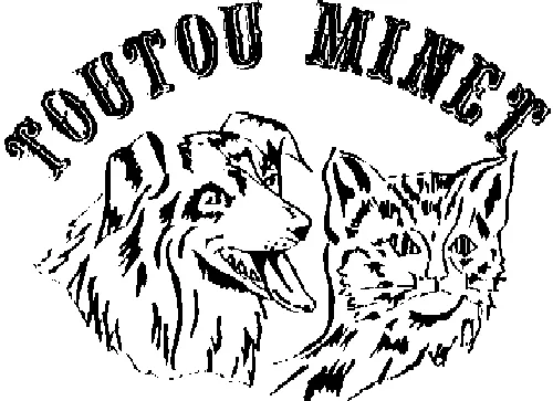 TOUTOU MINET