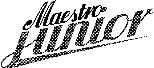 MAESTRO JUNIOR