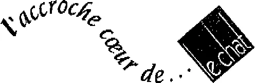 L'ACCROCHE COEUR DE... LE CHAT