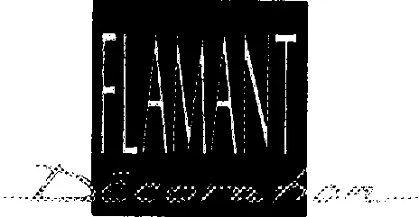FLAMANT DECORATION