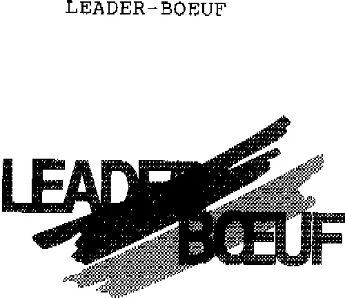 LEADER-BOEUF