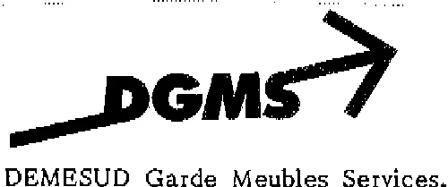 DGMS DEMESUD GARDE MEUBLES SERVICES