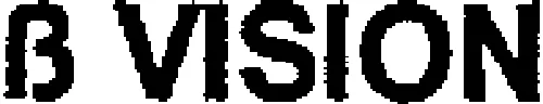 B VISION