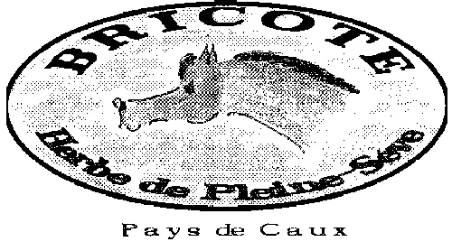 BRICOTE HERBE DE PLEINE-SEVE PAYS DE CAUX