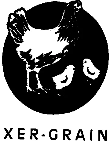 SOLEAL