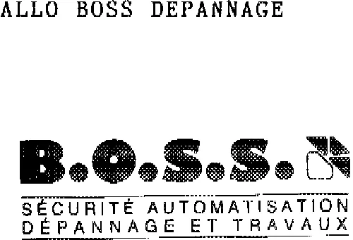 Rosé fou