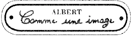 ALBERT COMME UNE IMAGE