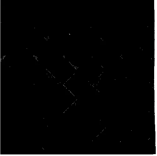 LA ROBE DES GRANDS CRUS