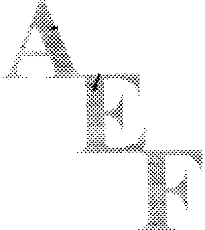 AEF