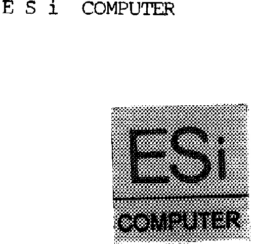 ESI COMPUTER