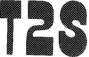 T2S