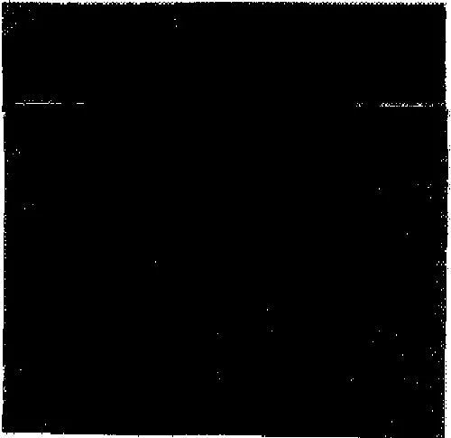 Le Cloître des Récollets