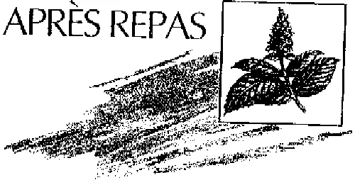 APRES REPAS