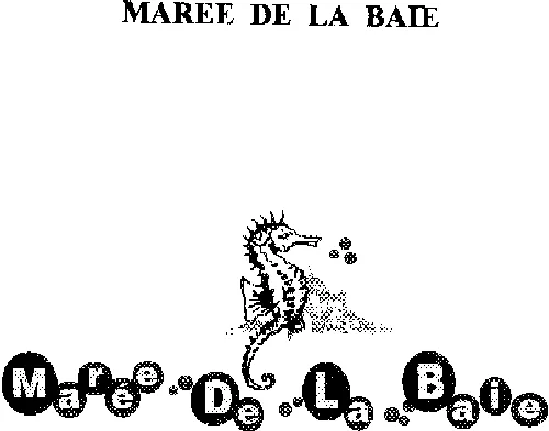 MAREE DE LA BAIE