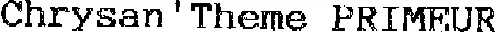 CHRYSAN 'THEME PRIMEUR